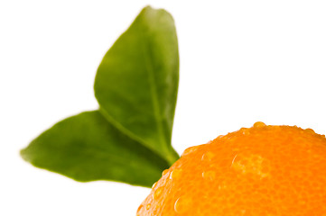 Image showing mandarin, calamondin