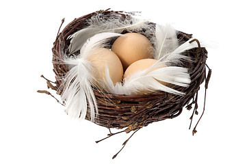 Image showing Nest with eggs and feathers