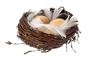 Image showing Nest with eggs and feathers