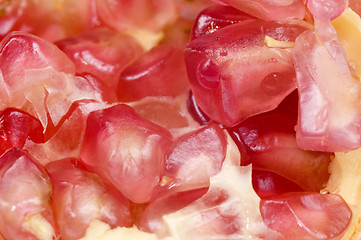 Image showing grain pomegranat