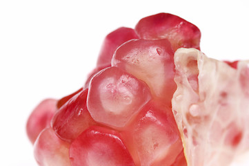 Image showing grain pomegranat