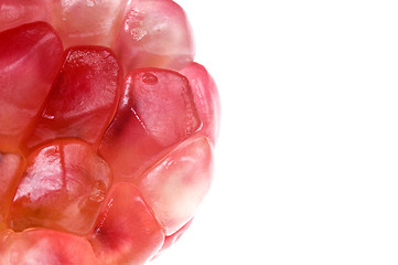 Image showing grain pomegranat