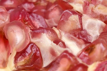 Image showing grain pomegranat