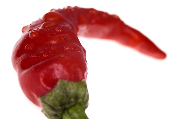 Image showing red, hot peppers