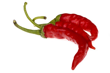 Image showing red, hot peppers