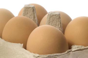 Image showing eggs in a grey cardboard carton box