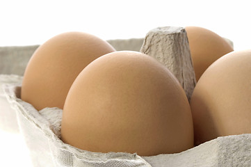 Image showing eggs in a grey cardboard carton box