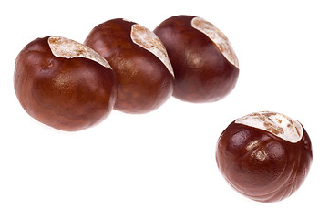 Image showing chestnuts