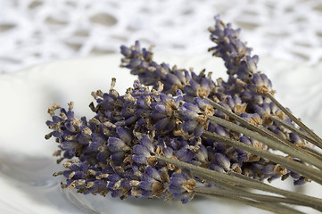 Image showing lavender