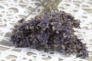 Image showing lavender