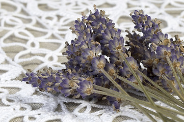 Image showing lavender