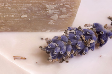 Image showing lavender soap