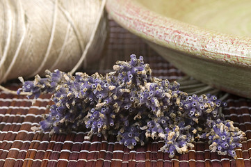 Image showing lavender bunch