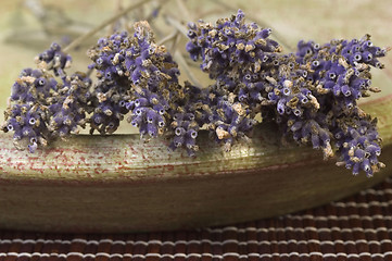 Image showing lavender bunch