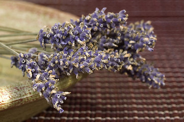 Image showing lavender bunch