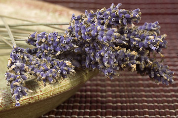 Image showing lavender bunch