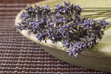 Image showing lavender bunch