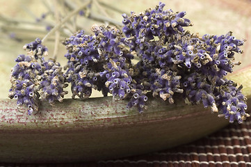 Image showing lavender bunch