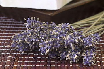 Image showing lavender bunch