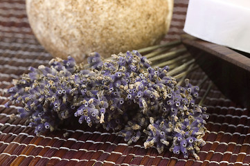Image showing lavender bunch