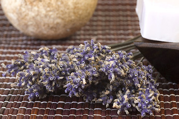 Image showing lavender bunch