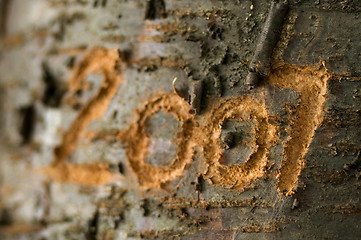 Image showing 2007 carved in an old tree