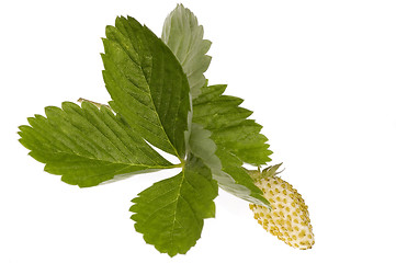 Image showing yellow starwberry on white