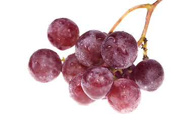 Image showing bunch of delicious grapes isolated on white