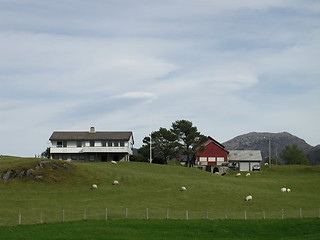 Image showing Farm