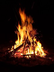 Image showing Campfire