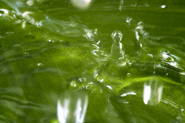 Image showing summer raindrop and green leaf