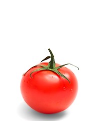 Image showing Tomato