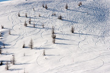 Image showing Winter