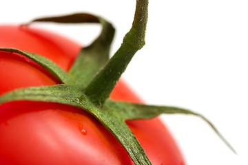 Image showing Tomato