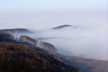 Image showing Autumn