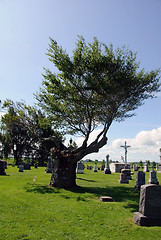 Image showing Cemetery