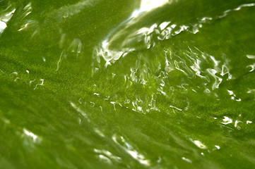 Image showing summer raindrop and green leaf