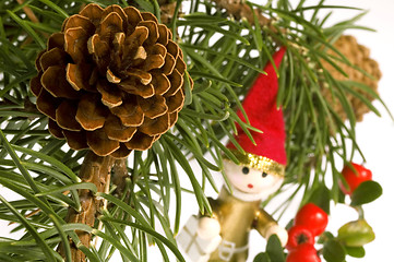 Image showing Isolated pine branch with cone. christmas