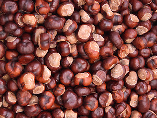 Image showing chestnuts