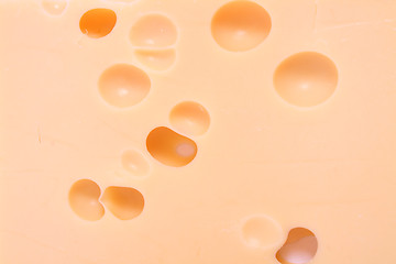 Image showing cheese background