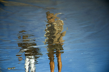 Image showing on the beach