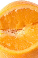 Image showing navel orange macro