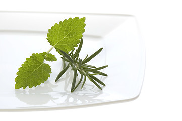 Image showing fresh herbs. rosemary and lemon balm