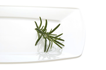 Image showing fresh herbs and spices. isolated on the white background