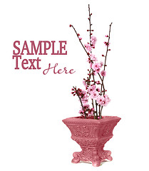 Image showing Pretty Cherry Blossoms in a Vase