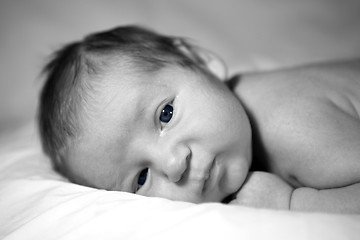 Image showing Black and White Image of a Beautiful Baby Boy