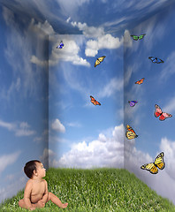 Image showing Baby Looking up at Butterflies