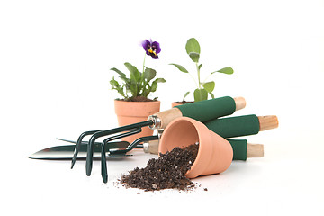 Image showing Gardening Tools on White Background