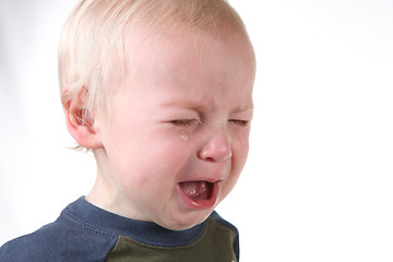 Image showing Crying Frustrated Little Boy on White