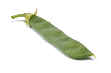 Image showing bean